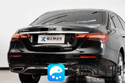 男生女生差差差差app大全:汽车世界性别偏好揭秘:谁更爱跑车谁更爱轿车-3