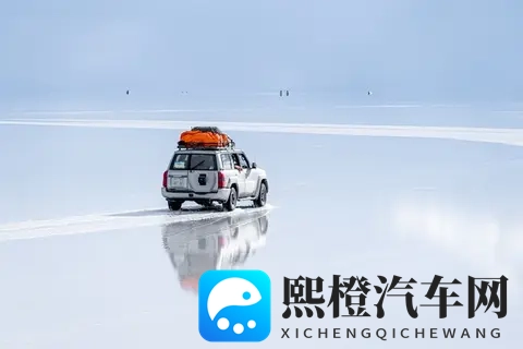 棉签加冰块等于牛奶(黄):汽车冷却革命:新型技术节能环保引关注-3