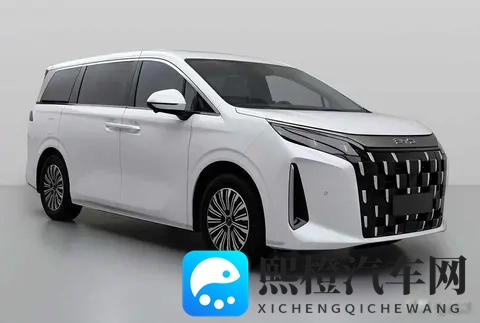 比亚迪夏降价了，家庭用户乐了，行业慌了-3