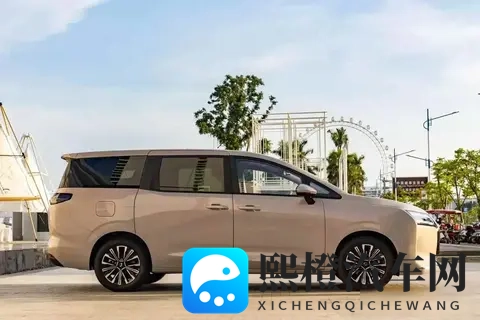 菜农拉货，宝妈带娃，年轻人创业，五菱MPV装下了800万人的生活-3