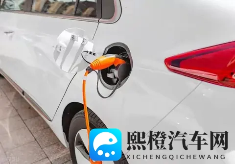 美国空姐2019满天星法版:星辉照耀下的职业光芒：汽车行业精英：星辉闪耀，成就非凡光彩-1