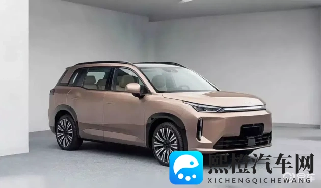 极端针拳头极端疼痛:针拳之痛,极致体验,难以言喻-3