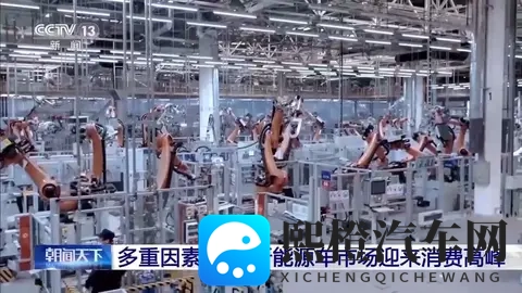 新能源车迎消费高峰 购置税明年起将从全免调为减半-3