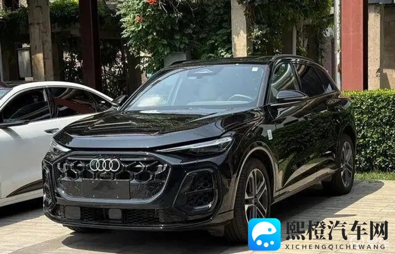 天天拍天天操:汽车营销新风向:揭秘未来车市三大趋势-1