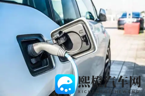 大菠萝官方官网2025新款:2025款大菠萝官方全新上架,惊喜不容错过-1