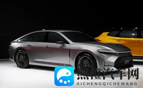 打扑克又疼又叫免费下载：创新平台崛起，便捷资讯触手可及-3