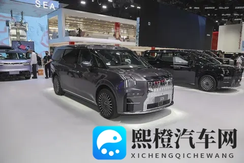 极氪009:明星家庭热衷,11月有这些优惠,值得买吗?-3