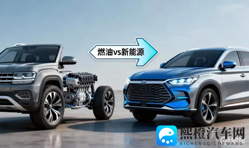 黄并且免费的视频：新手必看！免费汽车驾驶教程盘点-3