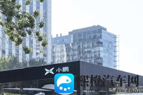 小鹏画饼,车主望梅?期货治不了车企的焦虑-3