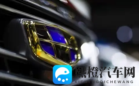 西方车企俄境“大撤退”,中国车企逆袭的机遇与暗礁-3