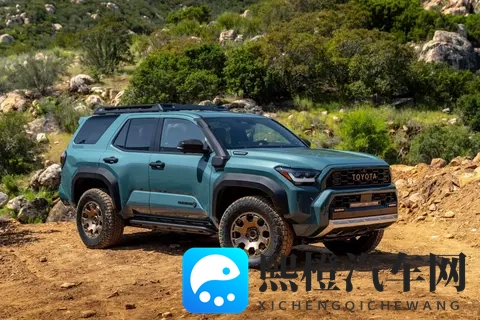 二次元束手束脚束胸束手:束缚中的二次元,手脚胸受限体验-3