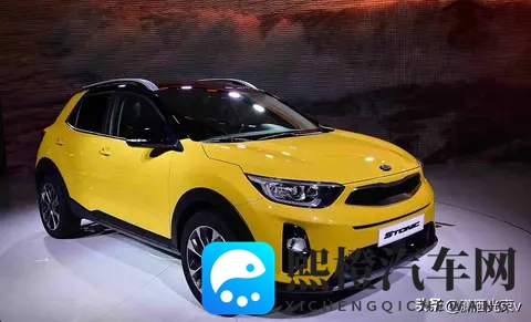 起亚高管嘴硬,销量崩盘,比亚迪笑到最后-2