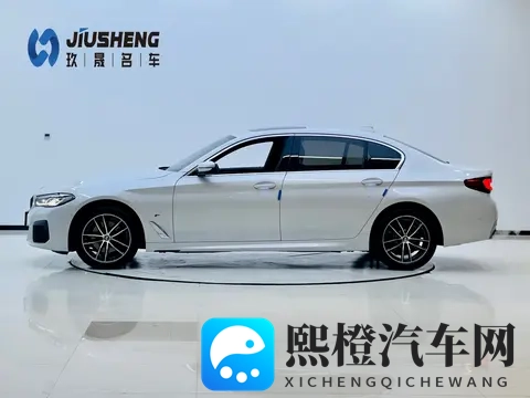 23年上牌的宝马5系,一手准新,宜商宜家好选择-3