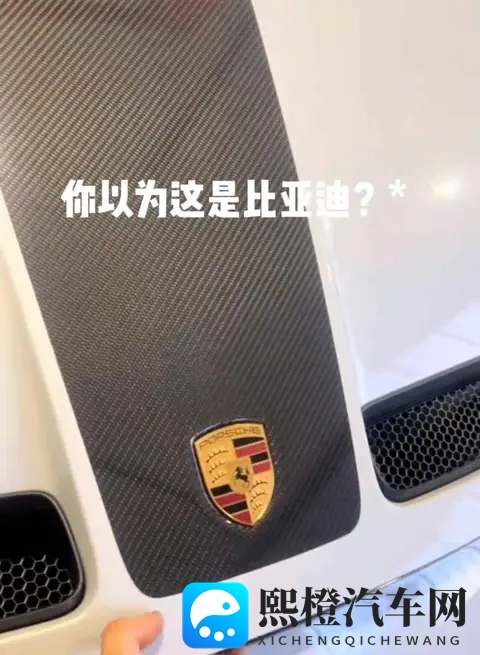 比亚迪零件藏车里，车企嘴上不说，车里全用，没人敢提却离不了-1