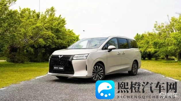 男人与雌性宠物交2O24：2024汽车新趋势：自动驾驶、新能源、共享模式来袭-1