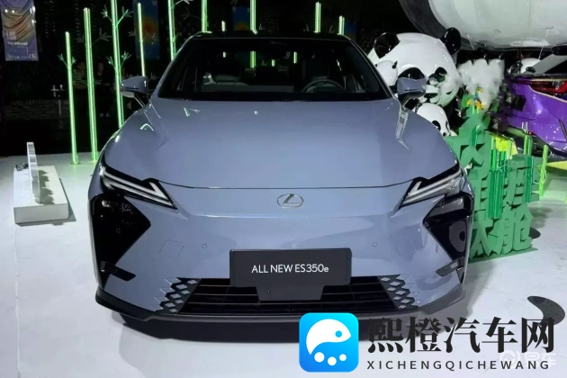 深夜能看到的网页:汽车夜视系统:安全夜行,光明护航-1