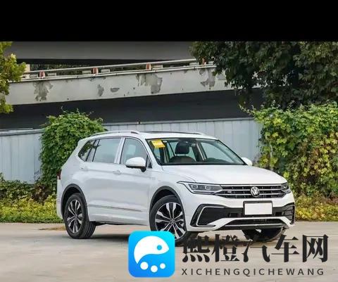 99热。：新能源汽车崛起，市场规模爆发式增长，未来可期-3