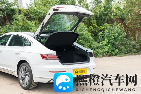 大众CC普通版:炫目与夺目版本,哪款更适合你?-2