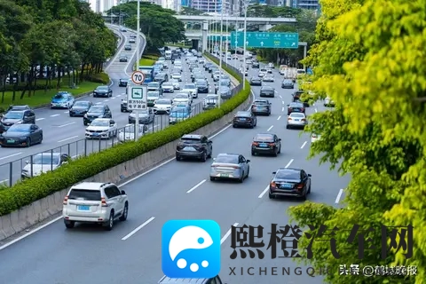 真实和子乱拍视频：全新SUV魅力绽放，网红试驾引关注-2