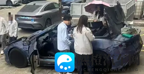 打扑克视频软件：扑克牌游戏视频播放器，轻松娱乐好帮手-1