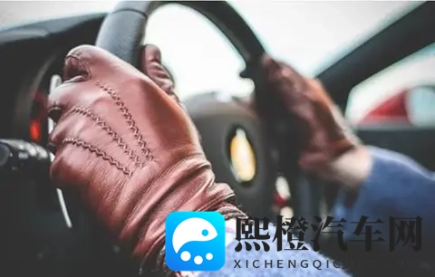 电动汽车加装柴暖缓解里程焦虑，殊不知存在三大用车与安全隐患-2