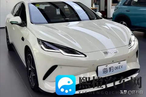深度推算：比亚迪海豹06Ev成本7万，卖11万，经销商亏本的原因！-1