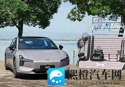 男生女生差差app：男女驾驶大揭秘：习惯、安全意识竟有这些差异-1