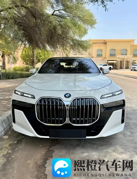 919万起的宝马7系！取消手势控制反得好评？豪华车思路变了？-3