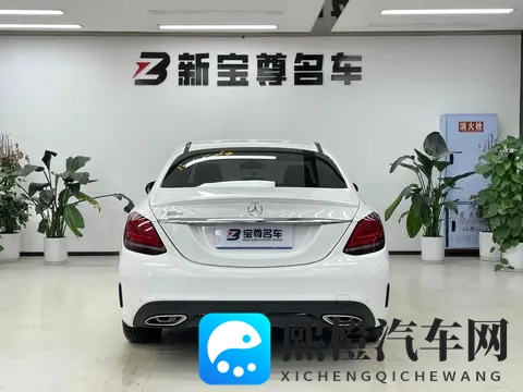 丁香六月婷婷五月：五月丁香迎六月芳华-2