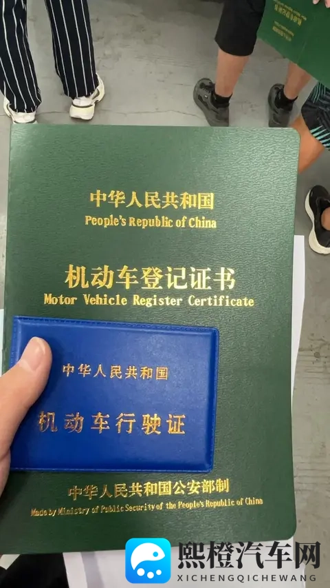 新车上牌如何“高效办成一件事”-2