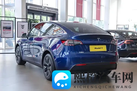 2025年SUV销量榜出炉!Model Y稳坐第一,这两款车竟成黑马-3