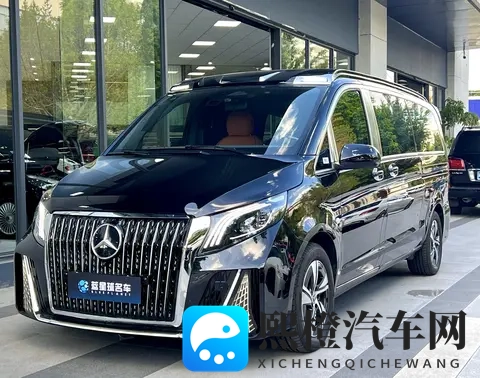 准新奔驰威霆：宜商宜家，升级座驾好选择！-3