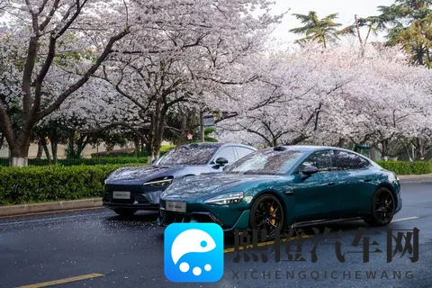 天天干天天干天天射:汽车动力揭秘:高效燃烧与稳定性保障-1