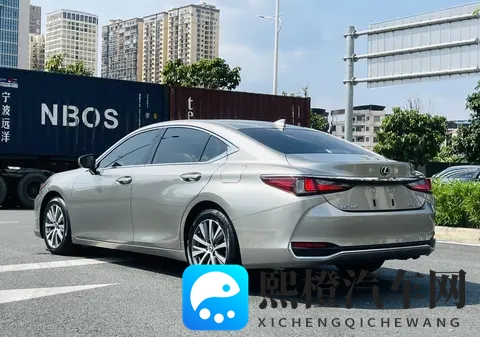 南宁二手车市场里的那辆“低调老大哥”-1