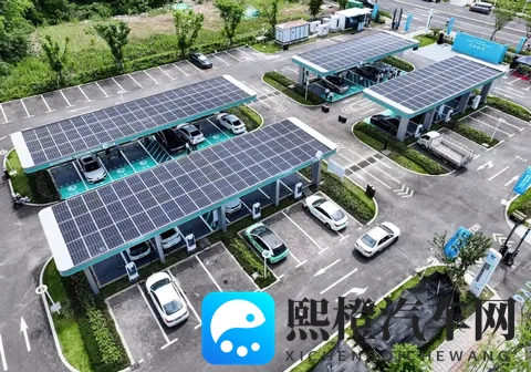 每卖两辆新车就有一辆电动车,中国用户忠诚度高达99%-2