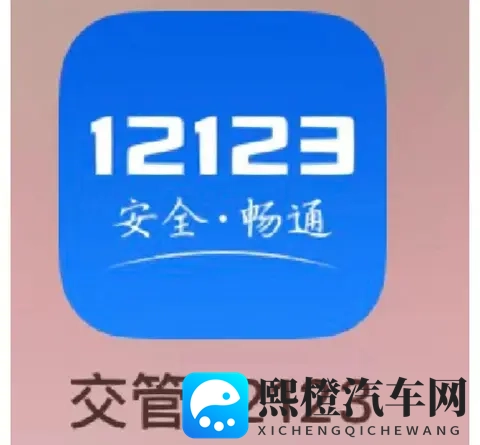 交管12123APP上线七项新服务,从上牌到驾考全面优化流程-2