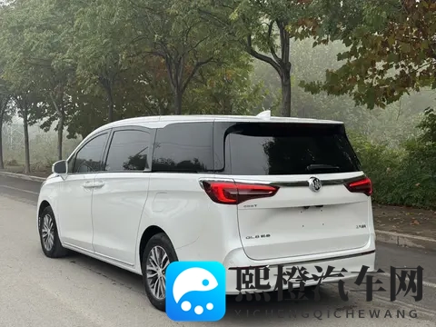 2088万拿下准新一手别克GL8,宜商宜家的陆上公务舱-2