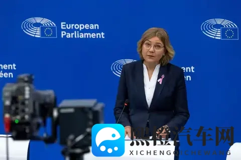 安世半导体风波:荷兰“抢”走公司,欧洲车企为何还得求中国?-2