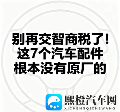 别再交智商税了！这7个汽车配件根本没有原厂的-1
