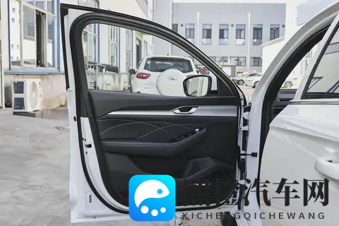 越级实力,热销67万+辆,星瑞为何能成燃油车市场黑马?-3