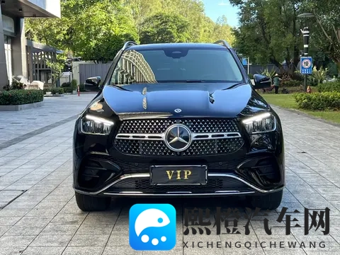 美国唐人社十次大导航:美国唐人社历经十载,探索导航新篇章-2