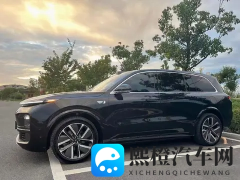 理想降价狂欢下，我摸了摸开了两个月的L8，有些真相不吐不快-2