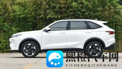 11月18日见！哈弗H6L带着全家期待来了！-1