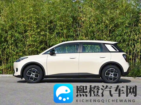 亲民版“海豚”上市！租电售价499万，续航达500Km，还支持换电-1