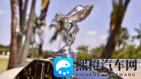 带镀金马桶的劳斯莱斯？126万欧元成交的定制传奇-2