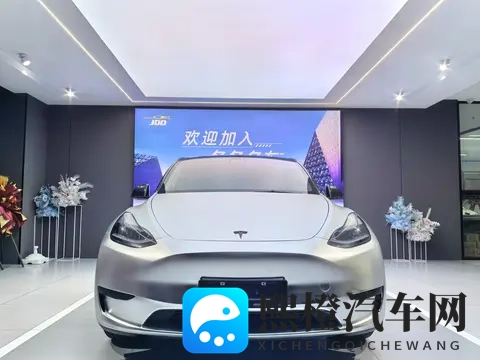 15万多拿下特斯拉Model Y，圆你电车梦？-3