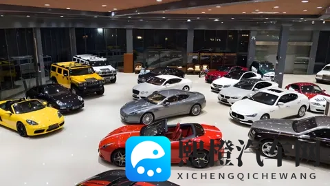 中国新能源车“平替”成风,传统豪华光环正在消散-2