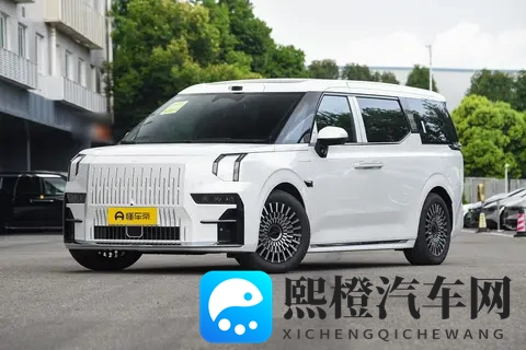 置换金10000元，还有全家度假豪礼，极氪009凭啥这么火？-3