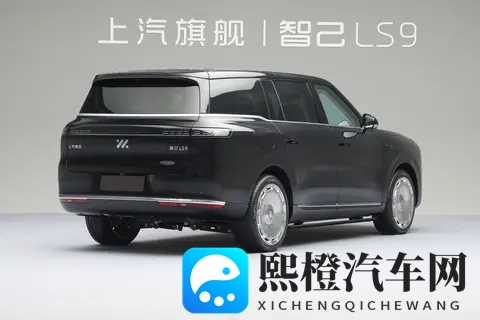 预售权益价3369万元起，外观简约时尚，智己LS9开启预售！-2