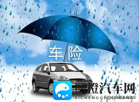 省的钱都交保费了！新能源汽车的保险，怎么就便宜不下来？-1